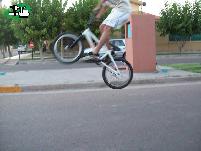 otra mas del bunny