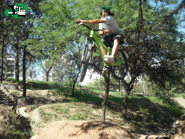 MINI DH