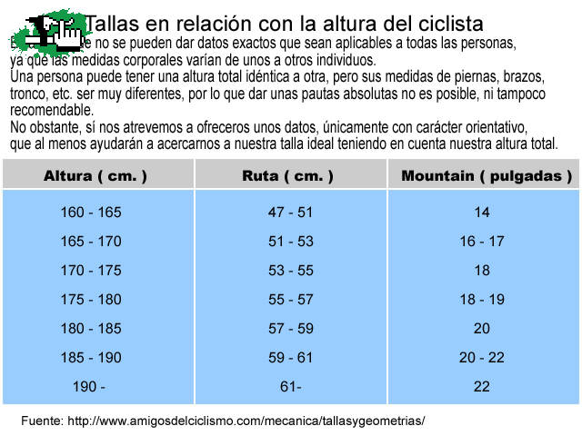 Talla - informe basico