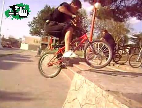 opinen mi bunny hop
