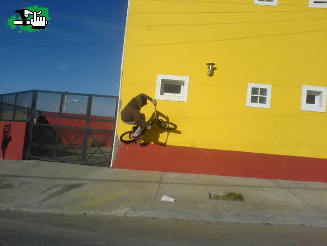 SEBA WALLRIDE