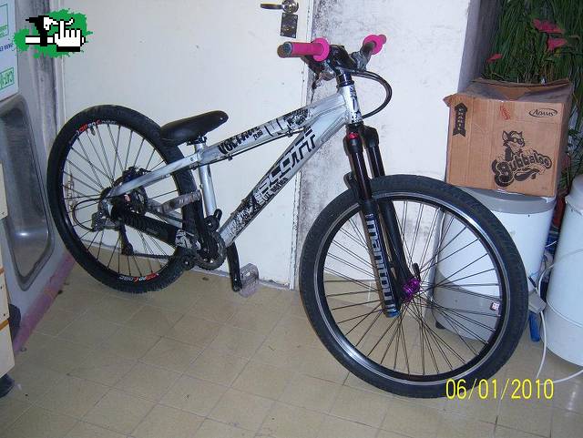 my scott