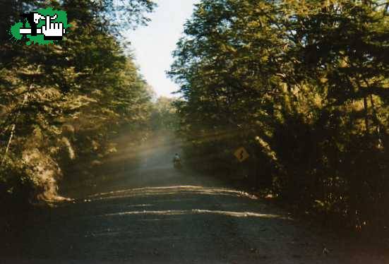 Salida de Mountain bike y Kayak