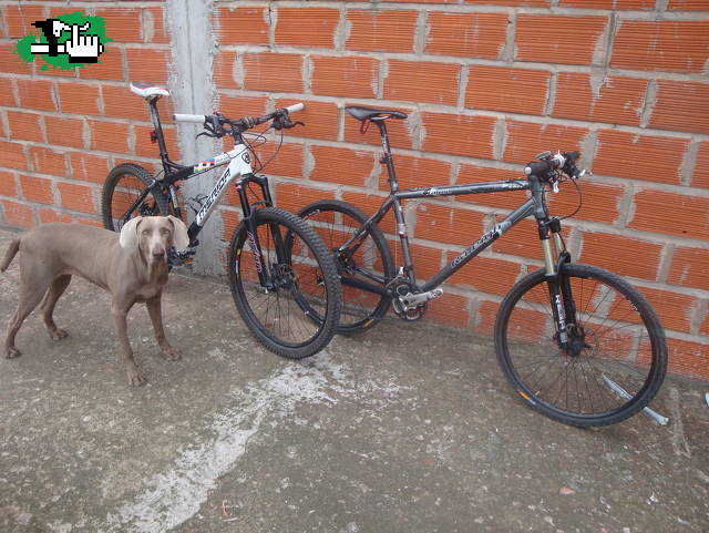 Viaje a MDP
