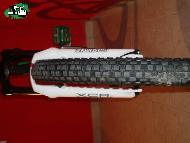 fedefex