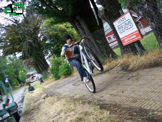 Manual