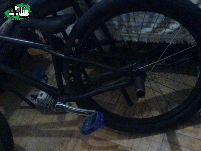 Bike check