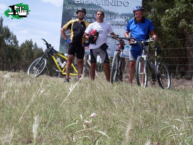 Grupal......