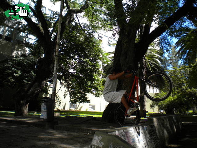abubaca 1