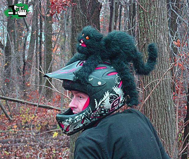 miralo al mono voooooooo jajaj mono violador de casco