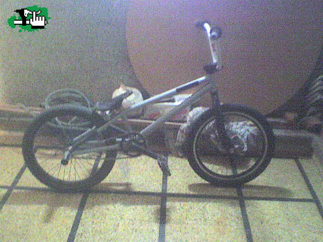 mi nuevo bike check