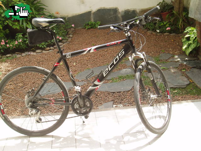 Mi negra 2006