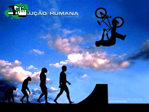 evolucion humana
