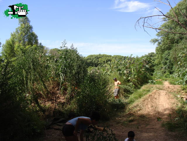 Podando Dirts 1