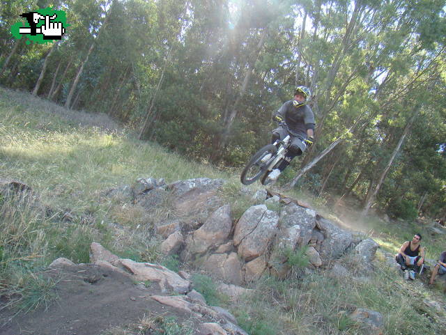 saltito 