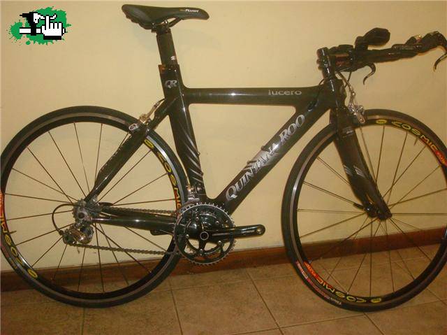 fredytriatleta