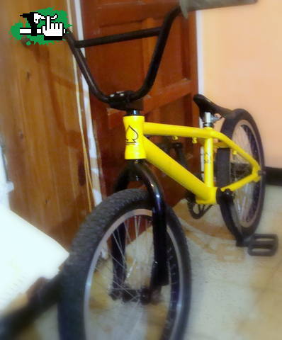 Bike check