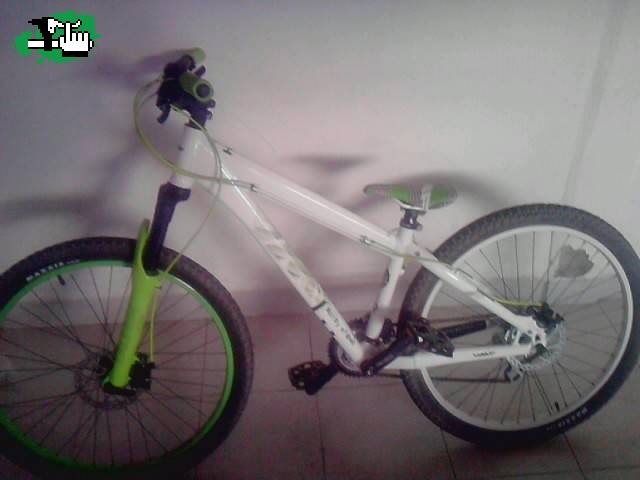 UMF hardy 4