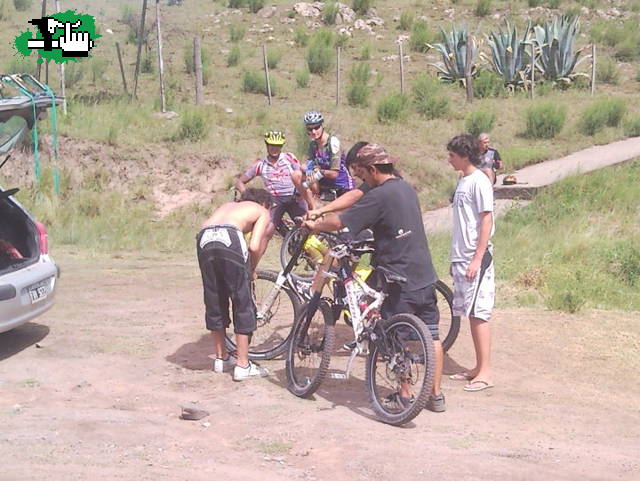 Team lechuga :P