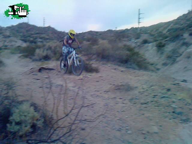 saltitoo