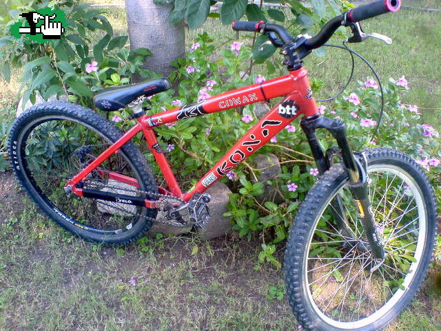 mi biek con palancas nuevas y single speed