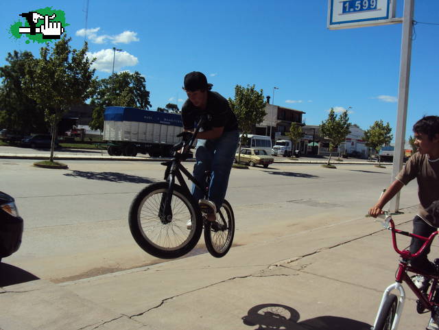 Bunny barspin saliendo