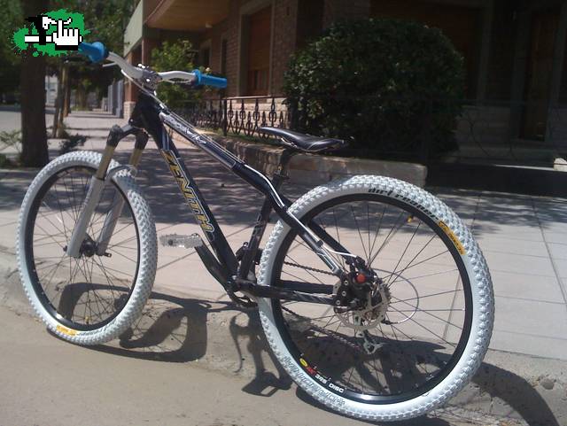 SAGA MX