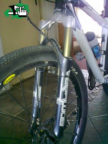 maximotb