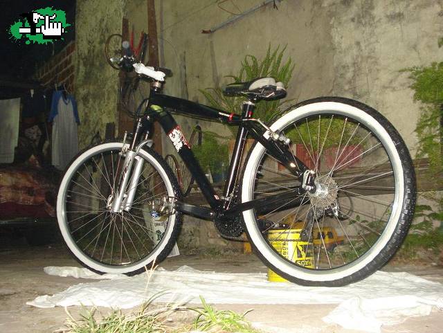 esta es mi diamodback