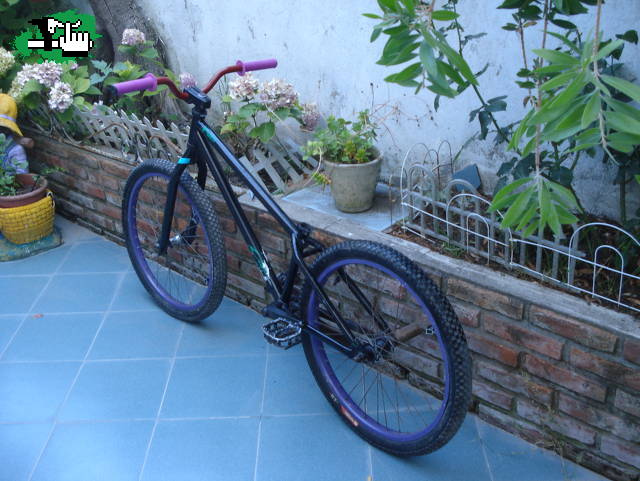 Se regala NS 24"