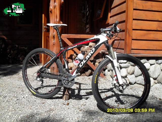 Olmo 10