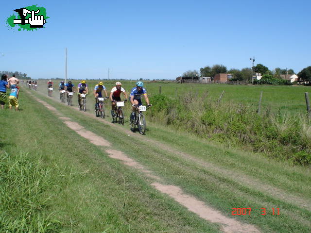 circuito frank