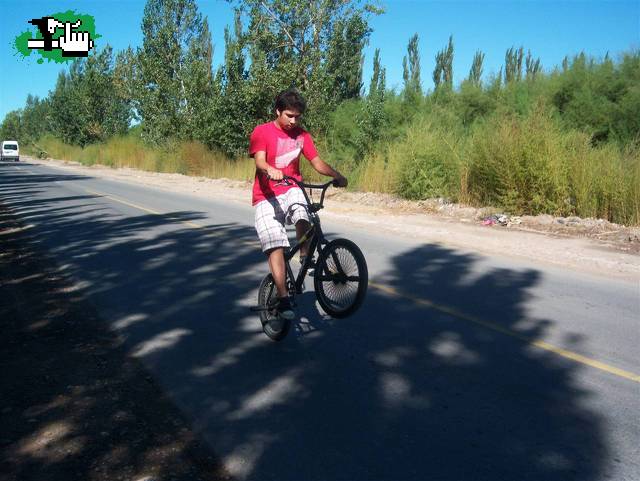 asiendo willy