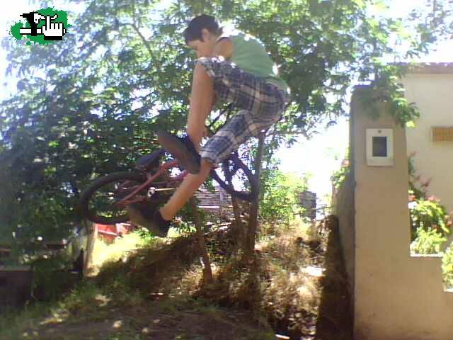 tailwhip