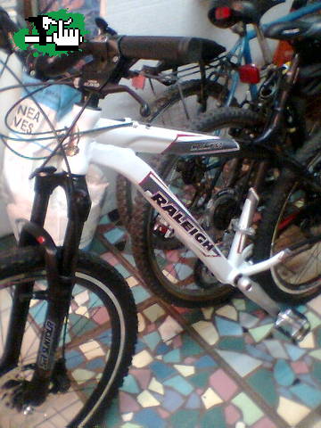 la nueva raleigh 