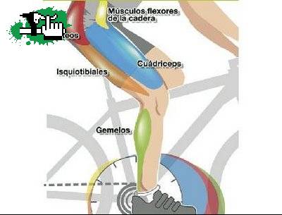 Técnica para pedalear