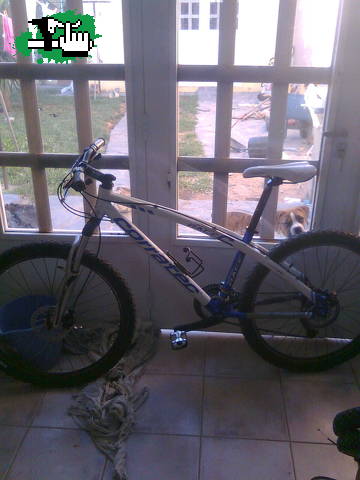 renovadaa :D:D