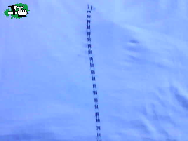 EVIDENCIA!! cadena del orto
