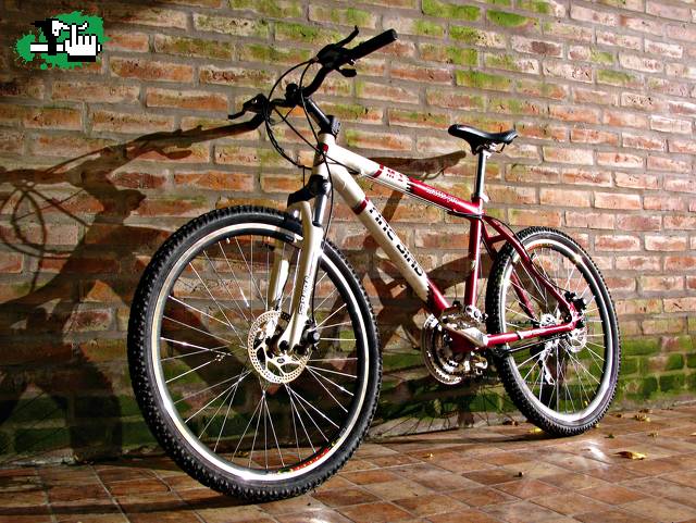 Mi bici