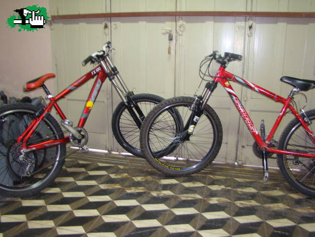 las nenas