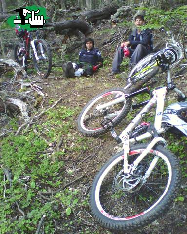 BABEATE CON ESTAS BIKES