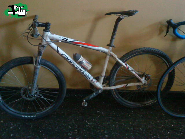 CANNONDALE N°5 "JACKTARA BIKE 010"