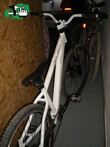 MI WASABI!!  nueva nueva!