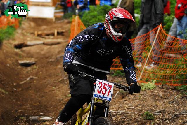 ARGENTINO DH