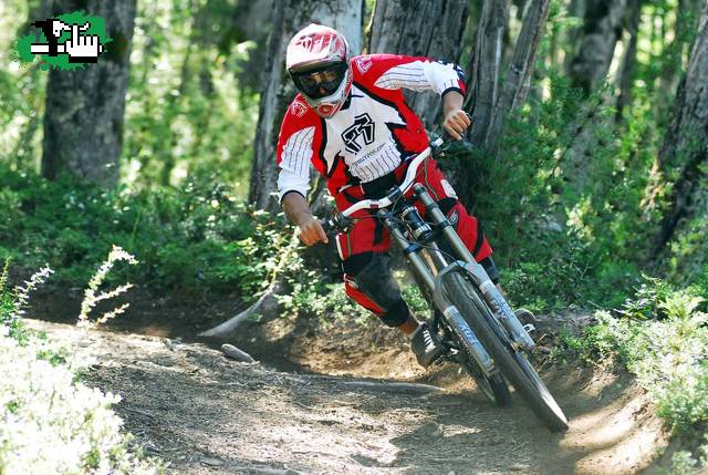 ARGENTINO DH