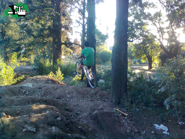 saltandoo
