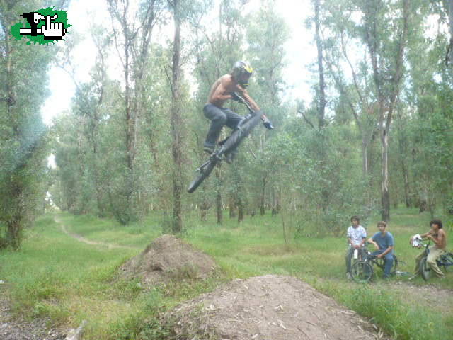 en el tiro 