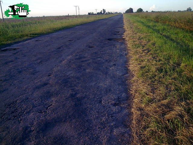 Un desastre la ruta
