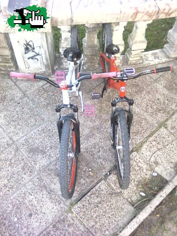 Alox & Azonic
