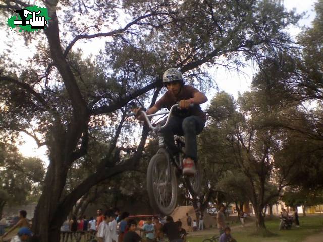 ja en el contestttt